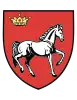 Coat of arms of Iaşi