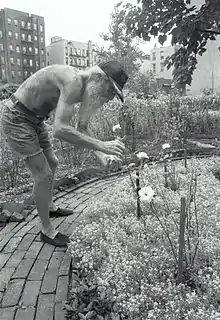 alt=Adam Purple tending his Urban Garden in 1984.
Photo by Tony Yarus