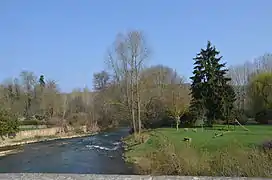 The Armançon river at Cry.