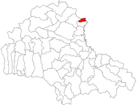 Location in Brașov County