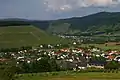 Vineyard Ayler Kupp, Saar river