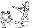 Sweeping of type spinning hook kick)