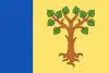 Flag of Baranzate