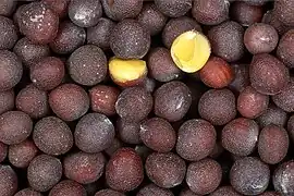 Close-up photo of black mustard seeds (each about 2–3mm in diameter)