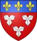 Coat of arms of Orléans