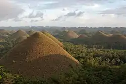 Chocolate Hills