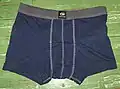 A pair of boxer briefs