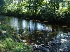 The Cère in Vic-sur-Cère.