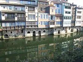 Houses in Castres by the Agout river