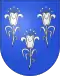 Coat of arms of Chancy