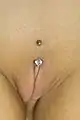 Christina piercing from the pubic mound, with the other end in the "slit" (the opening) between the labia