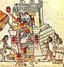 Drawing from 1535 of Aztecs using POWs for human sacrifices