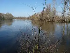 Confluence with the Creuse river