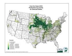 2018 production of corn in the United States