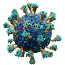 "Severe acute respiratory syndrome coronavirus 2"