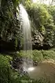 Crystal Shower Falls in Dorrigo National Park