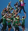 Players celebrate winning the Austrian Cup, 2011