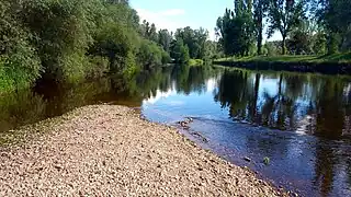 The Dore near Thiers.