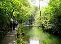 Walking by the river, Dovedale, England