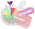 Theodor Benfey arranged the elements in a spiral, around hydrogen. The atomic weight determines the position of the element.