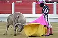 Bullfighting