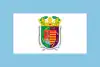 Flag of Malaga