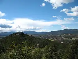 A general view of Forcalqueiret from the west