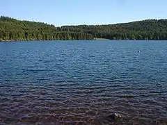 Bouchet lake, Haute-Loire.