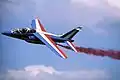 Alpha Jet of Patrouille de France, the famous aerobatic team.