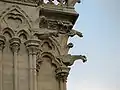 Gargoyles at Notre Dame Cathedral in Paris, France