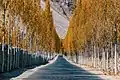 Khaplu road in Autumn.