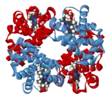 DNA Double Helix