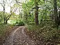 Clayton Brook footpath