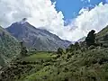 The Subalpine landscape common in Bhutan