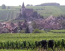 Hunawihr and its vineyards.