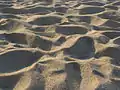 Sand dune on a beach in Calabria.