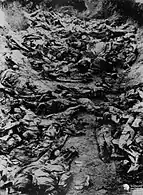 Mass grave of Polish officers killed in the massacre at Katyn Forest