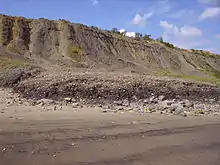 Landslip near Lyme Regis