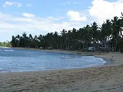 Las Terrenas beach