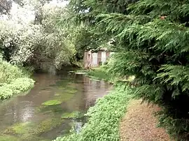 The Liger river in Saint-Aubin-Rivière