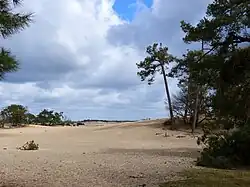 Loonse en Drunense Duinen (municipalities of Heusden, Loon op Zand, and Vught)