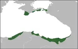 Location of Empire of Trebizond