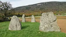 Menhirs of Corcelles-près-Concise