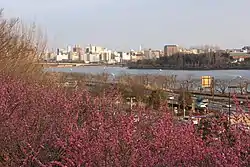 City skyline over ume of Kairaku-en