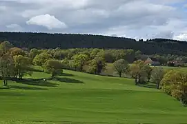 Valley to the east of Noyant-d'Allier.