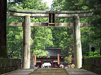 Tōshō-gū Outer Torii