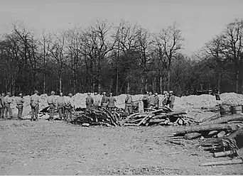 American soldiers in front of a mass grave for people killed at the Ohrdruf concentration camp.  The mounds of dirt are people's ashes (1945)