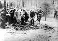 Einsatzgruppen force Poles, Jews, Czechs, and Germans to dig their own graves in Piaśnica, Poland