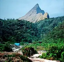 Pico da Neblina