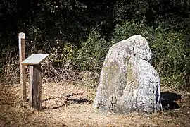 The menhir Pierre à la Femme